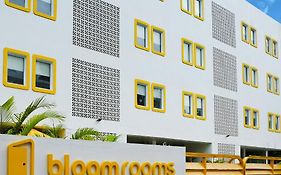 Bloomrooms Calangute